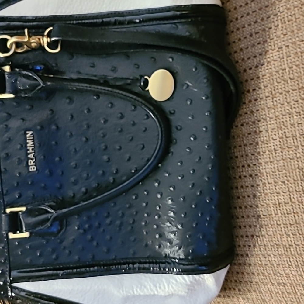 Brahmin bag with wallet